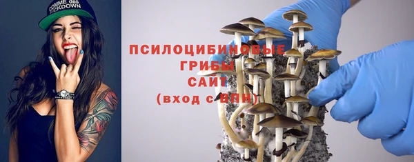 ПСИЛОЦИБИНОВЫЕ ГРИБЫ Беломорск