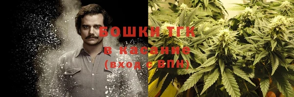 гидропоника Богородск