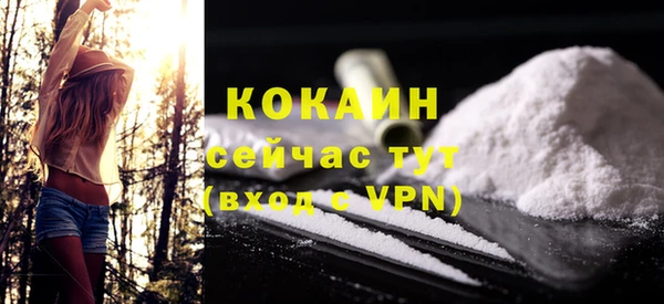 гидра Бронницы