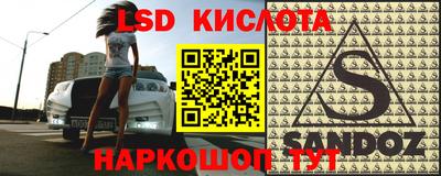 крисы Пенза