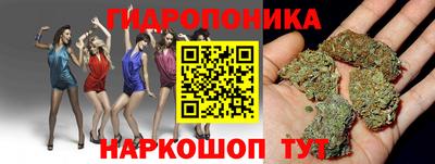крисы Пенза