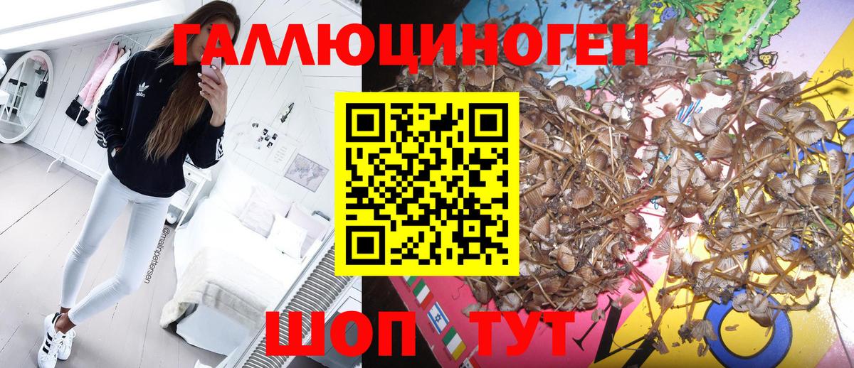 Псилоцибиновые грибы мухоморы Острогожск