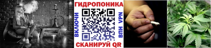 omg tor  где можно купить наркотик  Острогожск  Канабис THC 21% 